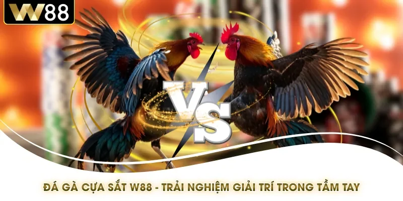 Đá Gà Cựa Sắt